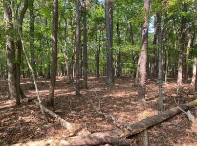 Building Lot for Sale Near Smith Mountain Lake - image 2