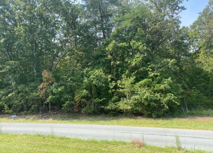 Building Lot for Sale Near Smith Mountain Lake - image 1