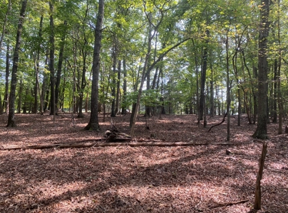 Building Lot for Sale Near Smith Mountain Lake - image 3