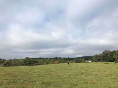 8.81 Acres Farm Land For Sale in Hawkins CO, TN - image 31