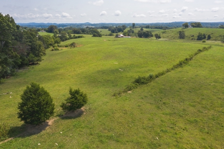 8.81 Acres Farm Land For Sale in Hawkins CO, TN - image 13