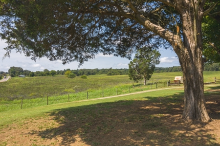 8.81 Acres Farm Land For Sale in Hawkins CO, TN - image 21