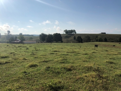 8.81 Acres Farm Land For Sale in Hawkins CO, TN - image 27