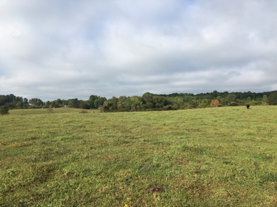 8.81 Acres Farm Land For Sale in Hawkins CO, TN - image 30