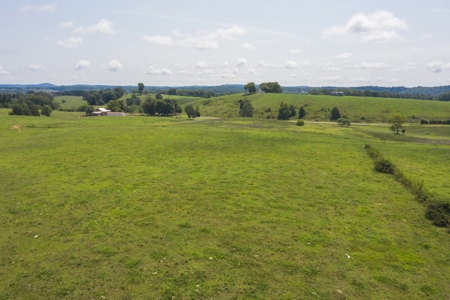 8.81 Acres Farm Land For Sale in Hawkins CO, TN - image 14