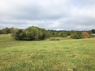 8.81 Acres Farm Land For Sale in Hawkins CO, TN - image 35