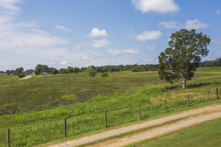 8.81 Acres Farm Land For Sale in Hawkins CO, TN - image 22