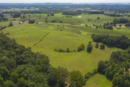 8.81 Acres Farm Land For Sale in Hawkins CO, TN - image 3