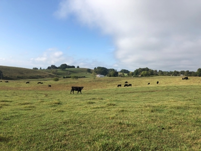 8.81 Acres Farm Land For Sale in Hawkins CO, TN - image 29