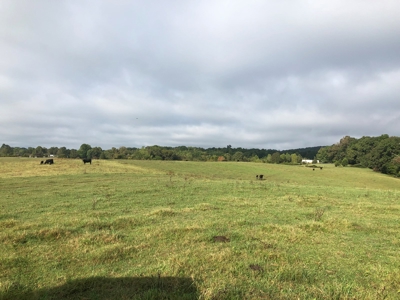 8.81 Acres Farm Land For Sale in Hawkins CO, TN - image 24