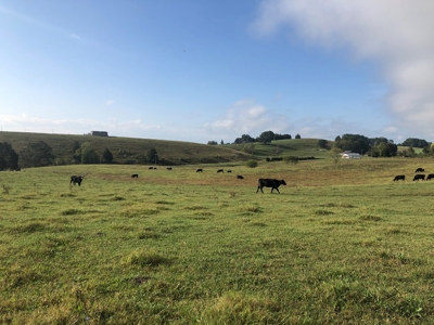 8.81 Acres Farm Land For Sale in Hawkins CO, TN - image 28