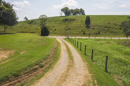 8.81 Acres Farm Land For Sale in Hawkins CO, TN - image 17