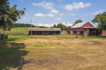 8.81 Acres Farm Land For Sale in Hawkins CO, TN - image 19