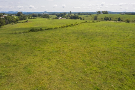 8.81 Acres Farm Land For Sale in Hawkins CO, TN - image 11