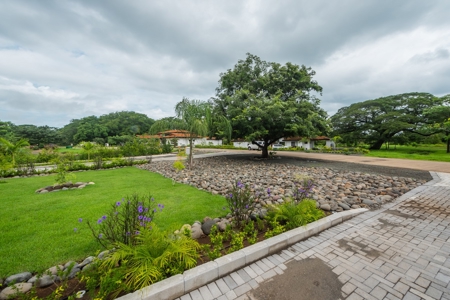 Casa Positive Vibration, Las Brisas #51 - image 10