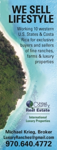 Costa Rica Ocean Front Resort Development Michael Krieg - image 2