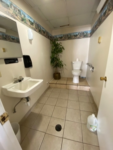 Commercial Building, Restaurant/Bar, Office, retail, Aptmnts - image 16