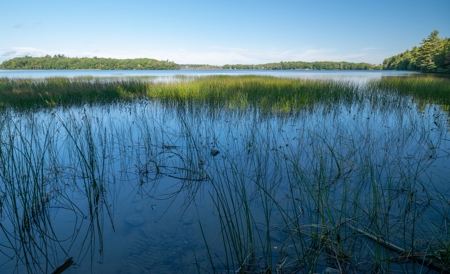 Land Between The Lakes - Orrington, Maine - image 4
