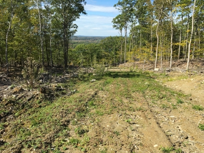 Land Between The Lakes - Orrington, Maine - image 10