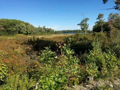 Land Between The Lakes - Orrington, Maine - image 9
