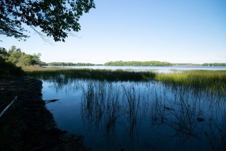 Land Between The Lakes - Orrington, Maine - image 5