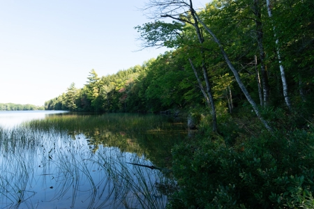 Land Between The Lakes - Orrington, Maine - image 8