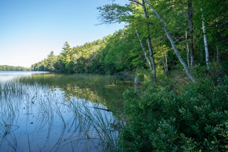 Land Between The Lakes - Orrington, Maine - image 7
