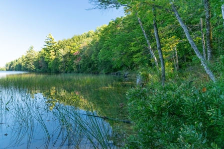 Land Between The Lakes - Orrington, Maine - image 6