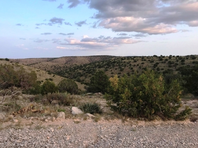 Ranch For Sale in the Boot Heel of Chaves County - image 28