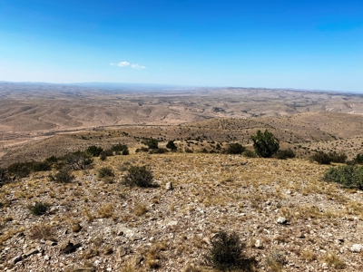 Ranch For Sale in the Boot Heel of Chaves County - image 16