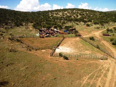 Ranch For Sale in the Boot Heel of Chaves County - image 33