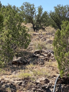 Ranch For Sale in the Boot Heel of Chaves County - image 42