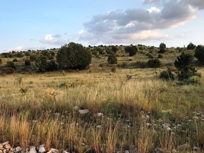 Ranch For Sale in the Boot Heel of Chaves County - image 1