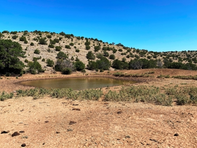Ranch For Sale in the Boot Heel of Chaves County - image 11