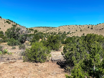 Ranch For Sale in the Boot Heel of Chaves County - image 9