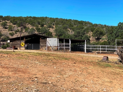Ranch For Sale in the Boot Heel of Chaves County - image 6