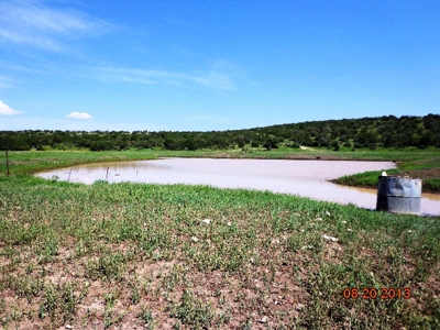 Ranch For Sale in the Boot Heel of Chaves County - image 31