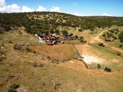 Ranch For Sale in the Boot Heel of Chaves County - image 32