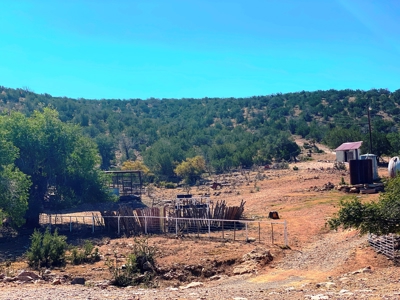 Ranch For Sale in the Boot Heel of Chaves County - image 4