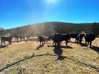 Ranch For Sale in the Boot Heel of Chaves County - image 18