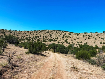 Ranch For Sale in the Boot Heel of Chaves County - image 10