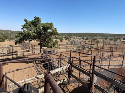 Ranch For Sale in the Boot Heel of Chaves County - image 17