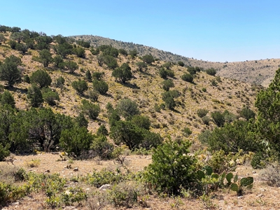 Ranch For Sale in the Boot Heel of Chaves County - image 14
