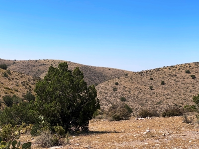 Ranch For Sale in the Boot Heel of Chaves County - image 13