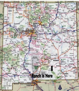 Ranch For Sale in the Boot Heel of Chaves County - image 43