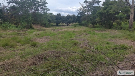 Lot For Sale In El Congo Penonome Cocle Panama - image 2