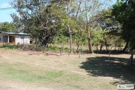 Lot For Sale In El Congo Penonome Cocle Panama - image 8