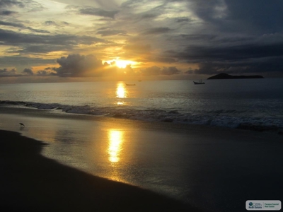 Ocean View B&B Beach House For Sale In Farallon - image 29