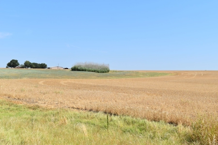 West, TX 91.48 Acres Land for Sale - image 3