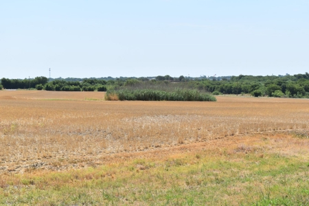 West, TX 91.48 Acres Land for Sale - image 6